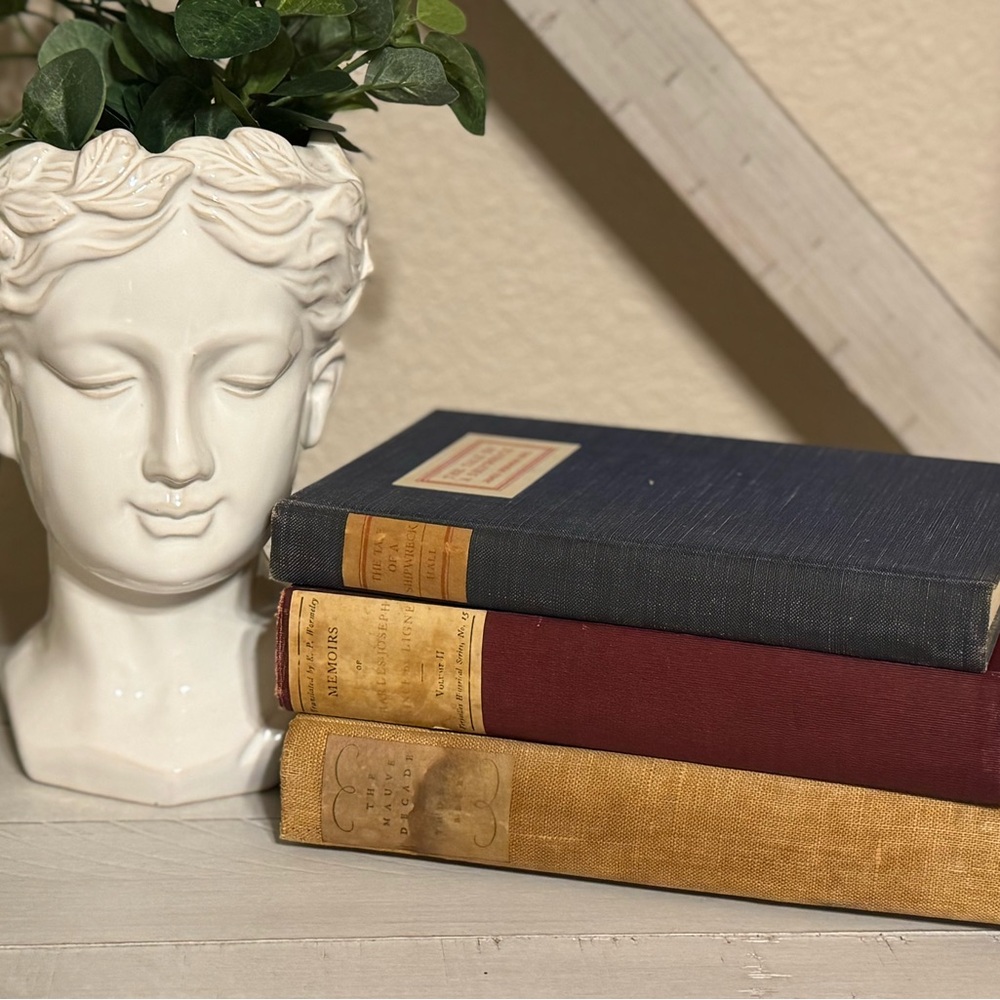 Vintage Antique Hardcover Decorative Book Collection home office library decor